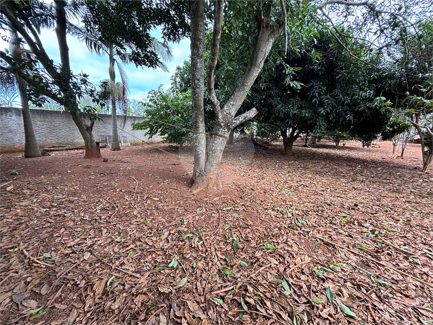 Chácara à venda com 3 quartos em Vila Sottemo, Itapetininga, SP