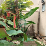Sobrado à venda com 3 suítes em Jardim Colombo, São Paulo, SP