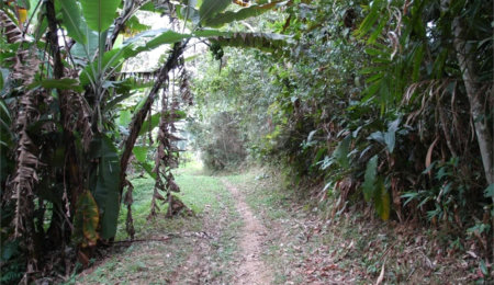Terreno à venda em Rio Grande, São Bernardo do Campo, SP