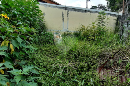 Terreno à venda em Tucuruvi, São Paulo, SP