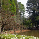 Terreno à venda em Horto Florestal, São Paulo, SP