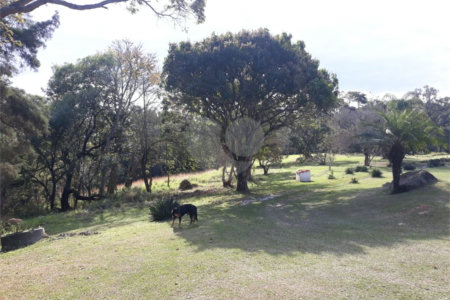Sítio à venda com 5 quartos, sendo 3 suítes,  em Planalto Verde, São Roque, SP