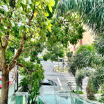 Apartamento à venda com 2 quartos, sendo 1 suíte, em Lauzane Paulista, São Paulo, SP