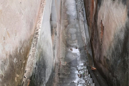 Terreno à venda com 1 suíte em Vila Gustavo, São Paulo, SP