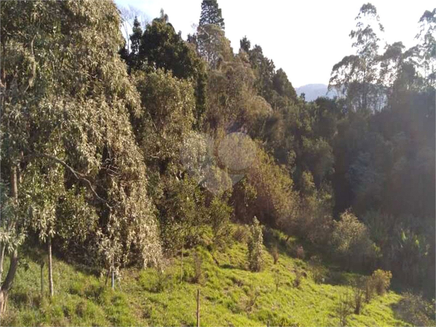 Terreno à venda em Serra da Cantareira, Mairiporã, SP