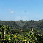 Casa à venda com 3 quartos, sendo 1 suíte, no Centro, Guararema, SP