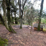 Casa à venda ou para alugar com 5 quartos em Roseira, Mairiporã, SP