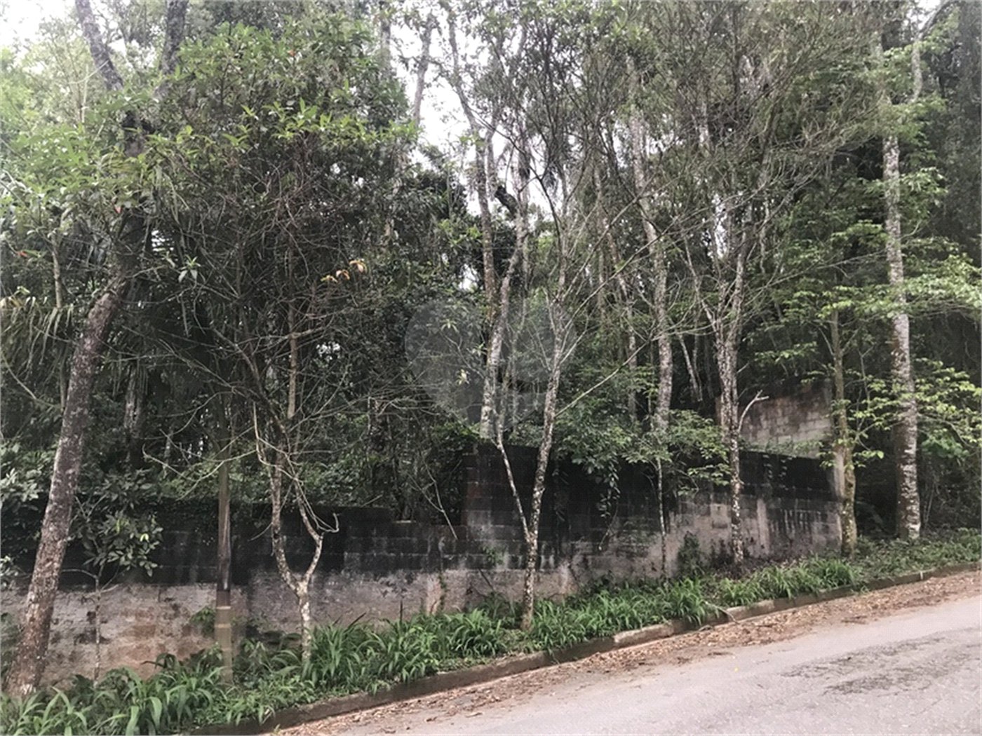 Terreno à venda em Serra da Cantareira, Mairiporã, SP