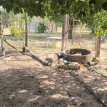 Chácara dos Sonhos à Venda – São Carlos/SP – Recreio Campestre