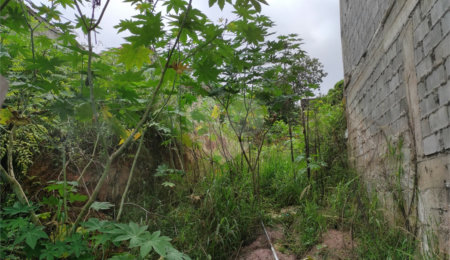 Terreno à venda em Santana, São Paulo, SP