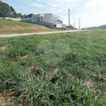 Terreno à venda em Observatório, Vinhedo, SP