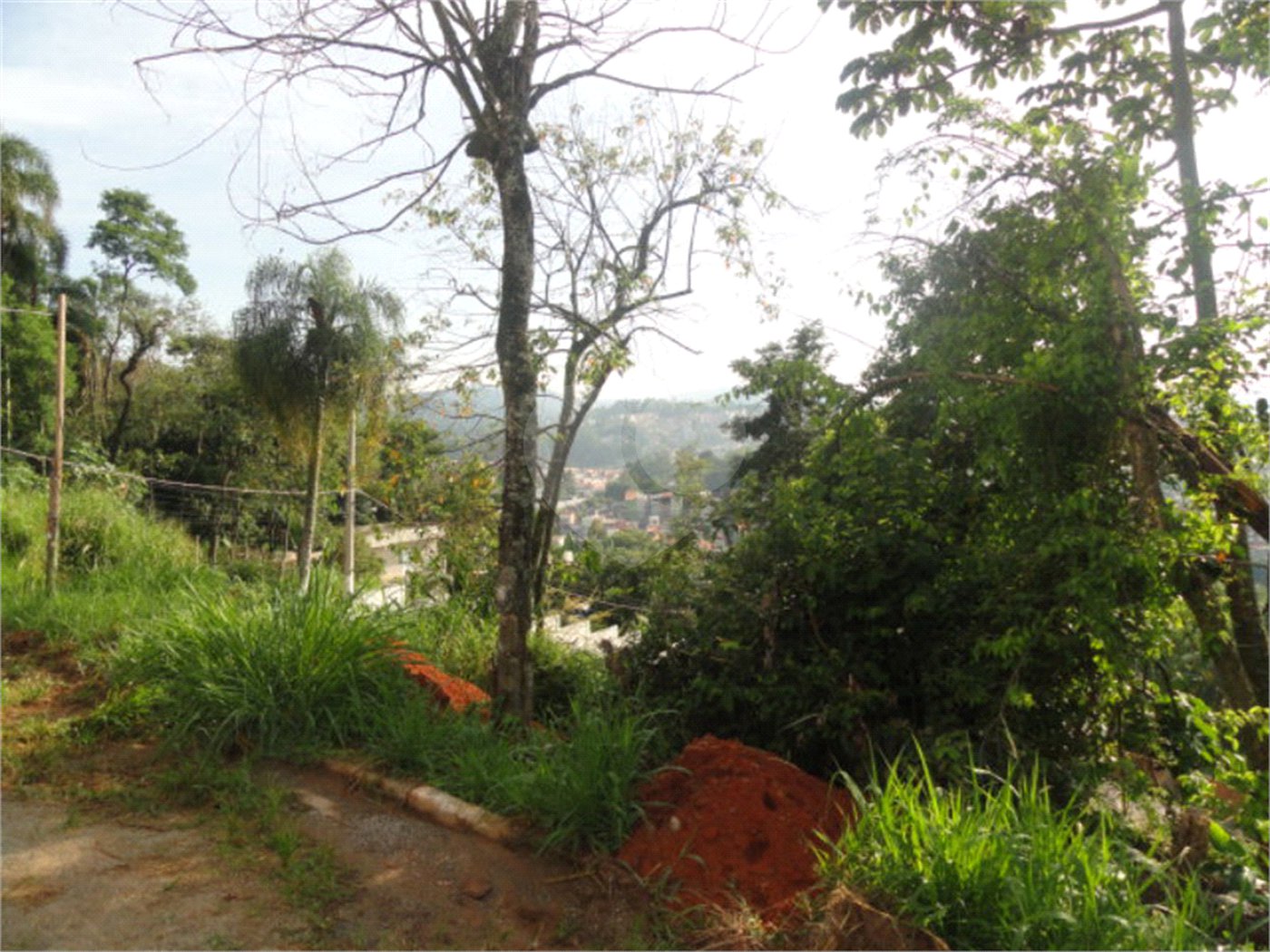 Terreno à venda em Tucuruvi, São Paulo, SP