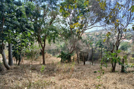 Casa à venda com 4 suítes em Geribá, Armação dos Búzios, RJ