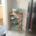 Apartamento à venda com 3 quartos em Santana, São Paulo, SP