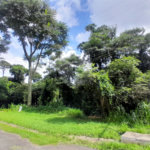 Terreno à venda no condomínio Associação Reserva das Hortênsias, Mairiporã - SP