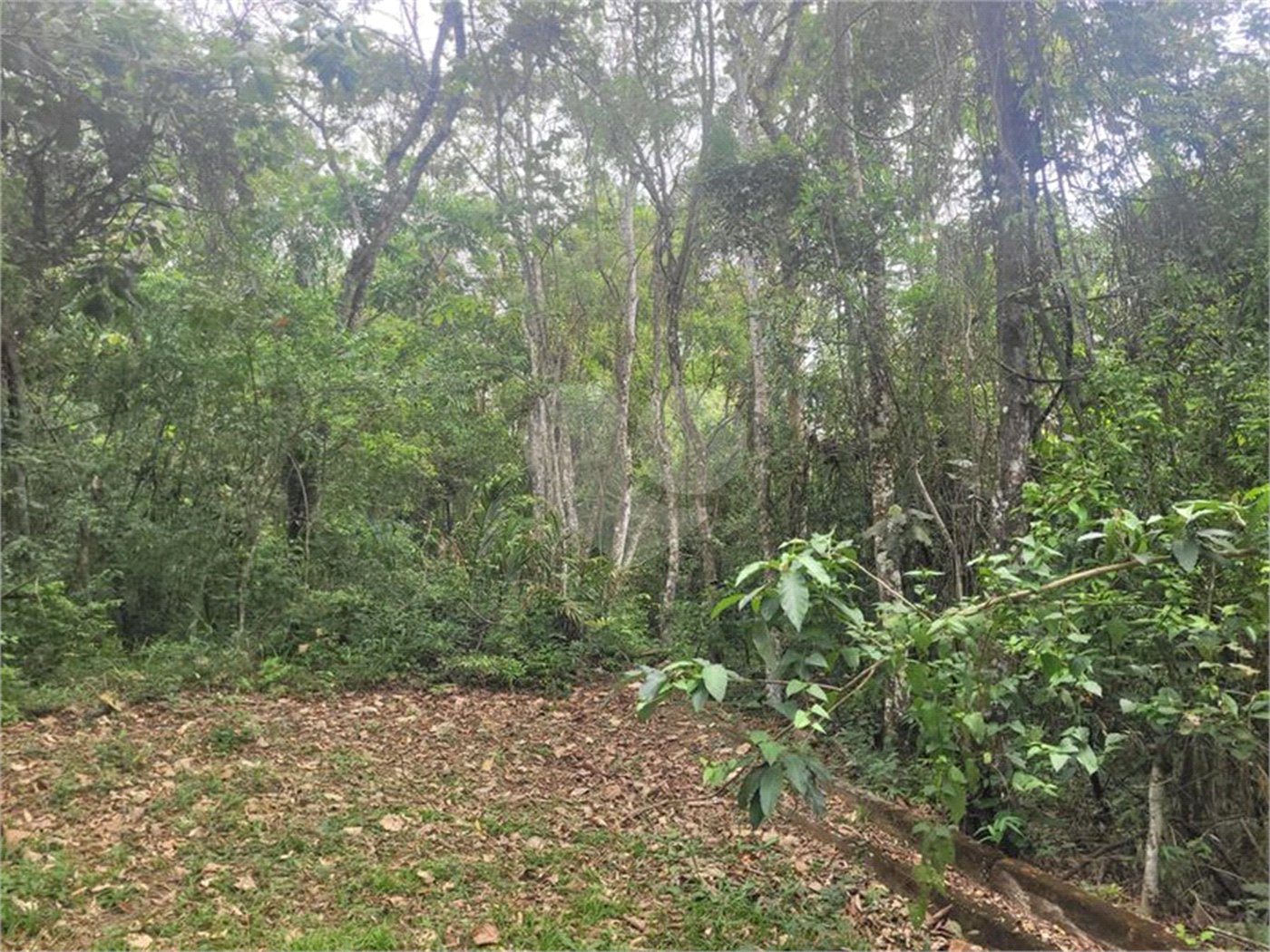 Terreno à venda no condomínio Sausalito, Mairiporã - SP