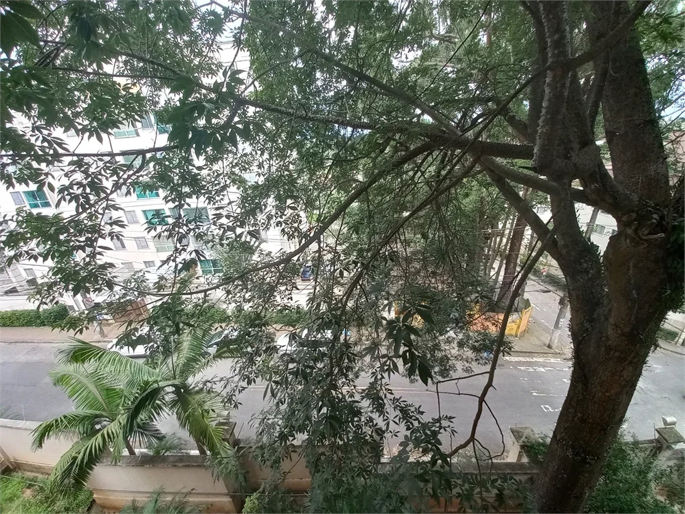 Apartamento à venda com 3 quartos em Paraisópolis, São Paulo, SP