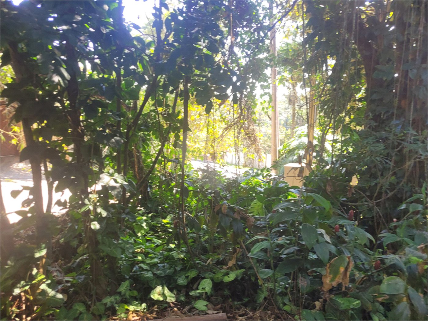 Casa à venda no condomínio Sausalito, Mairiporã - SP