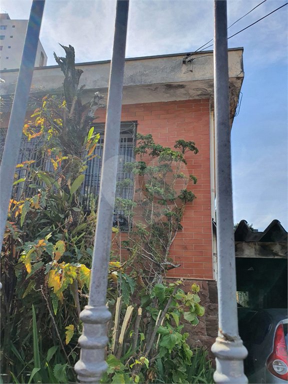 Terreno à venda em Vila Paulicéia, São Paulo, SP