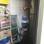 Sobrado à venda com 3 quartos, sendo 1 suíte, em Pirituba, São Paulo, SP