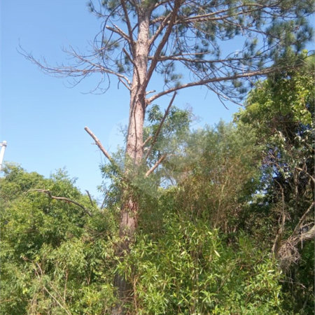 Terreno à venda em Saboó, São Roque, SP