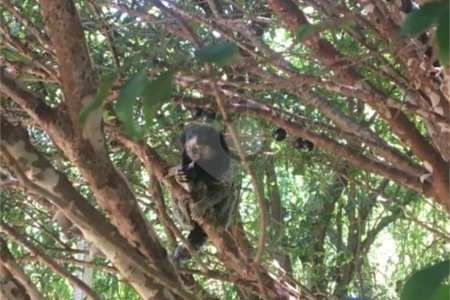 Chácara à venda com 3 quartos, sendo 2 suítes,  em Jardim Mirantes de Ipanema, Araçoiaba da Serra, SP