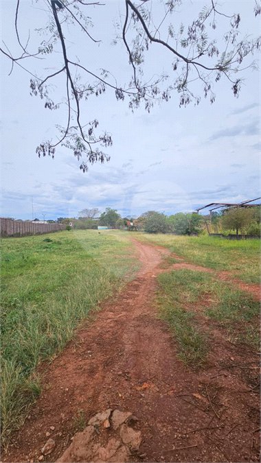 Terreno para alugar em Vila Áurea, Ponta Porã, MS
