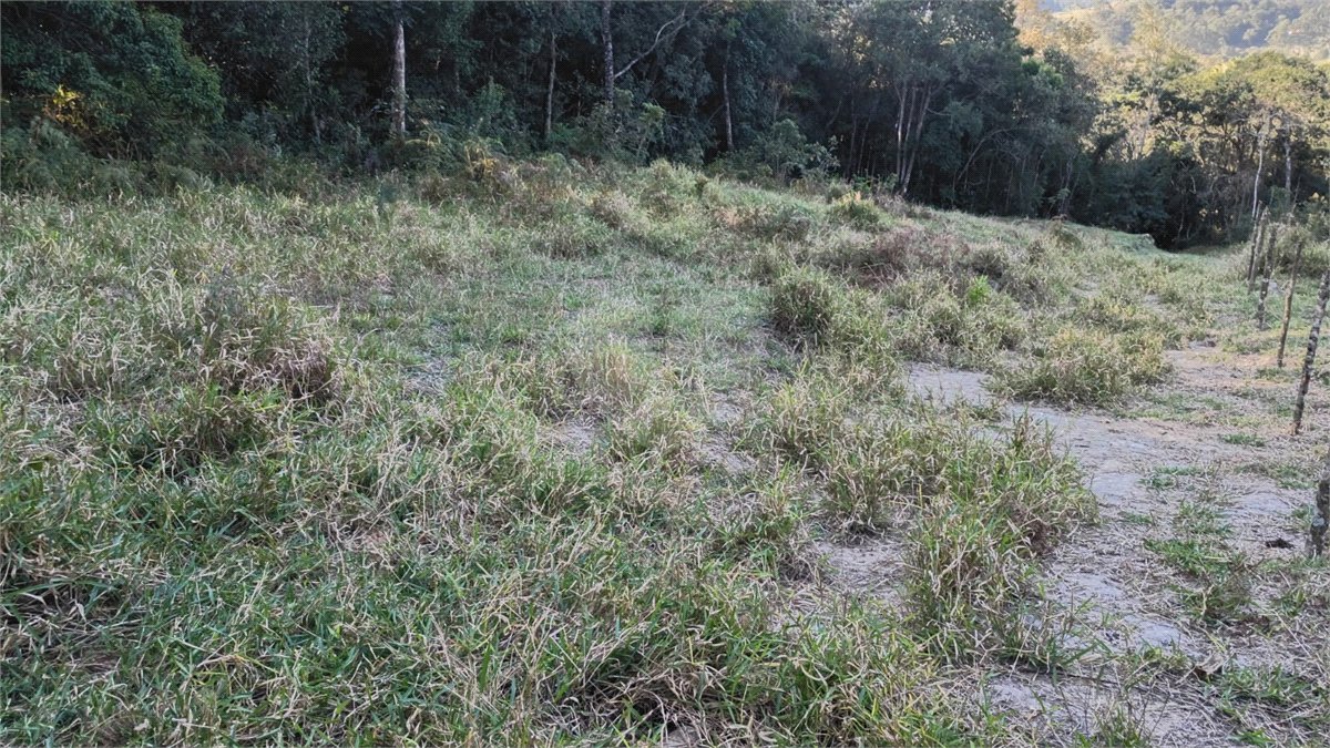 Terreno à venda em Vila Darcy Penteado (mailasqui), São Roque, SP