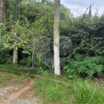 Terreno à venda em Serra da Cantareira, Mairiporã, SP