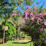 Fazenda à venda com 3 quartos em Cachoeirinha, Bom Jesus dos Perdões, SP