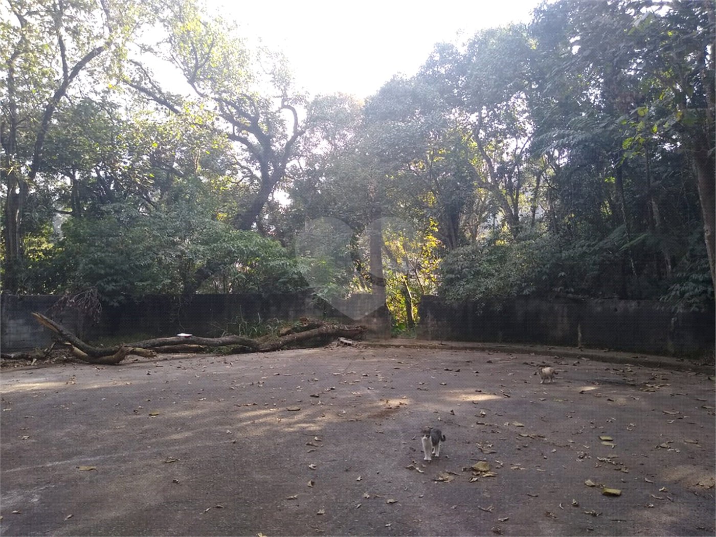 Terreno à venda em Tucuruvi, São Paulo, SP