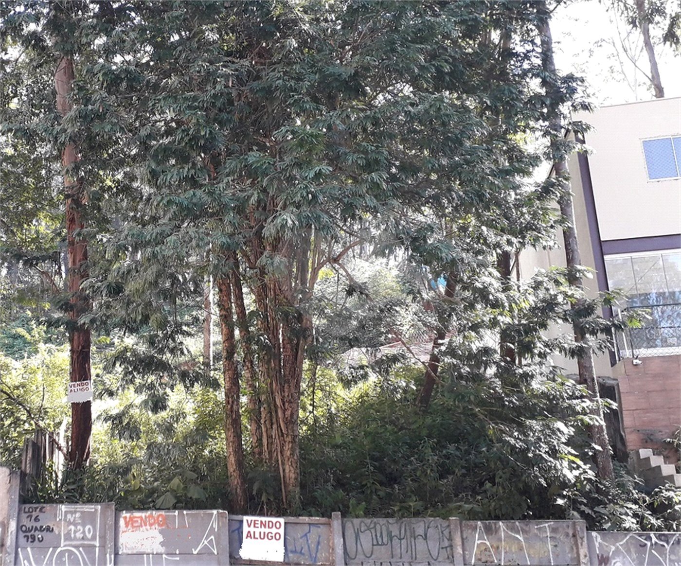 Terreno à venda ou para alugar em Vila Andrade, São Paulo, SP