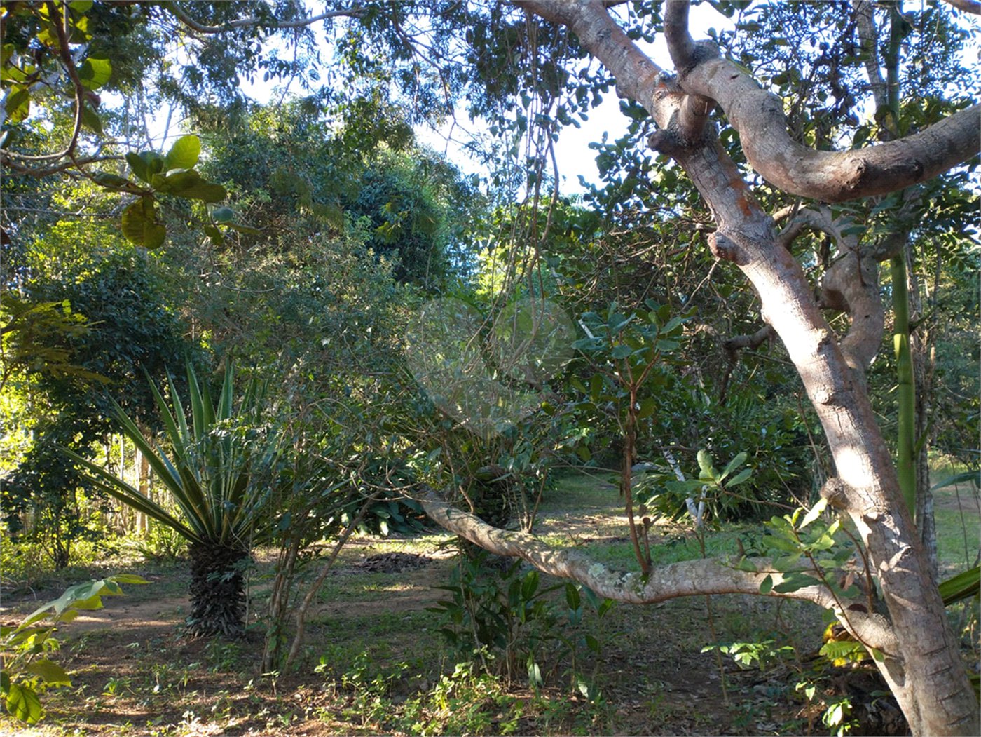 Terreno à venda em Vila Verde, Armação dos Búzios, RJ