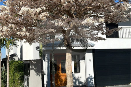 Casa à venda com 4 suítes no condomínio Alphaville Dom Pedro 3, Campinas - SP