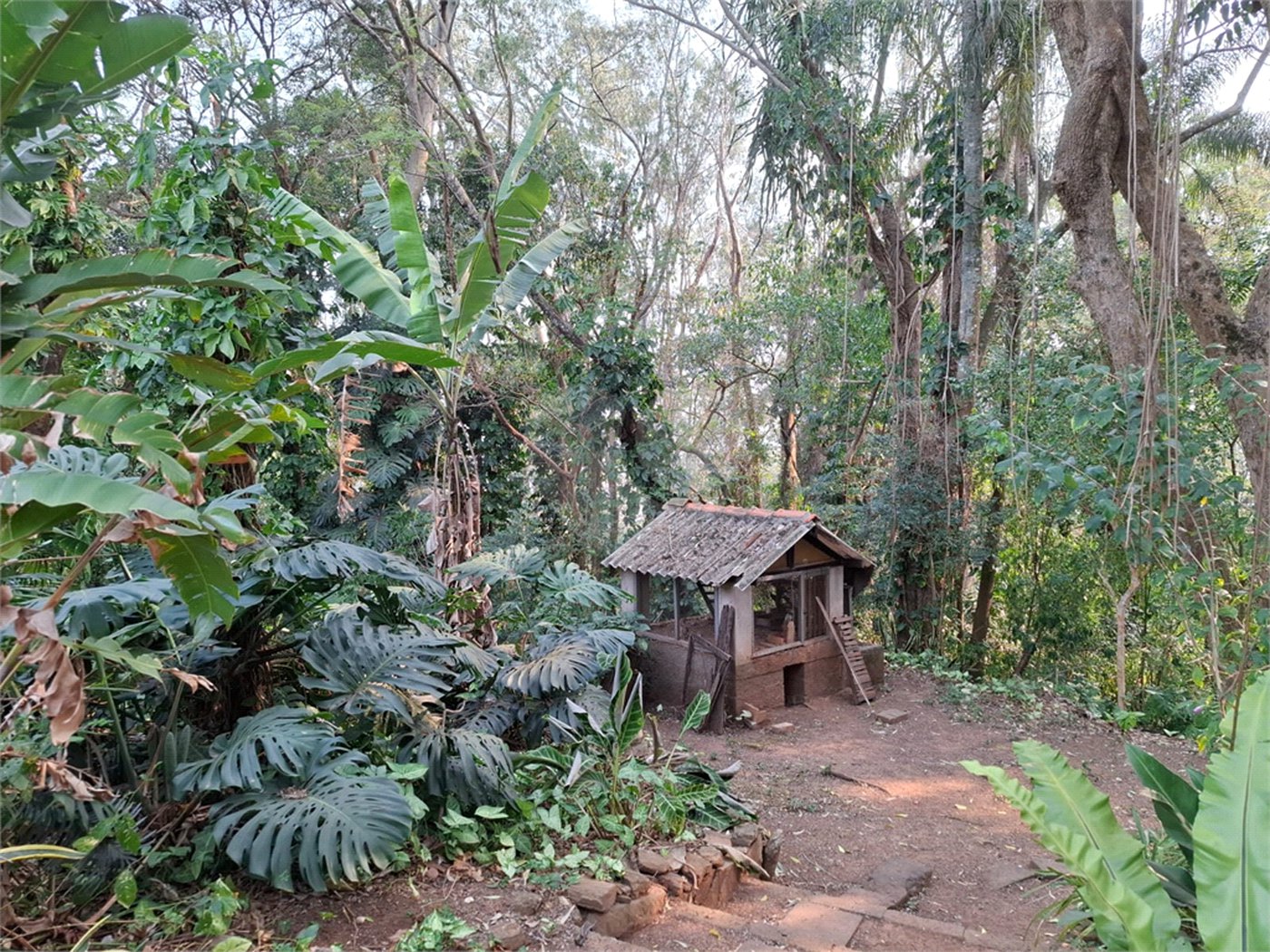 Sítio à venda com 3 quartos, sendo 1 suíte, em Bairro do Cambará, São Roque, SP