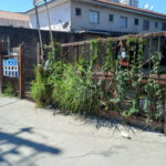 Terreno à venda em Limão, São Paulo, SP