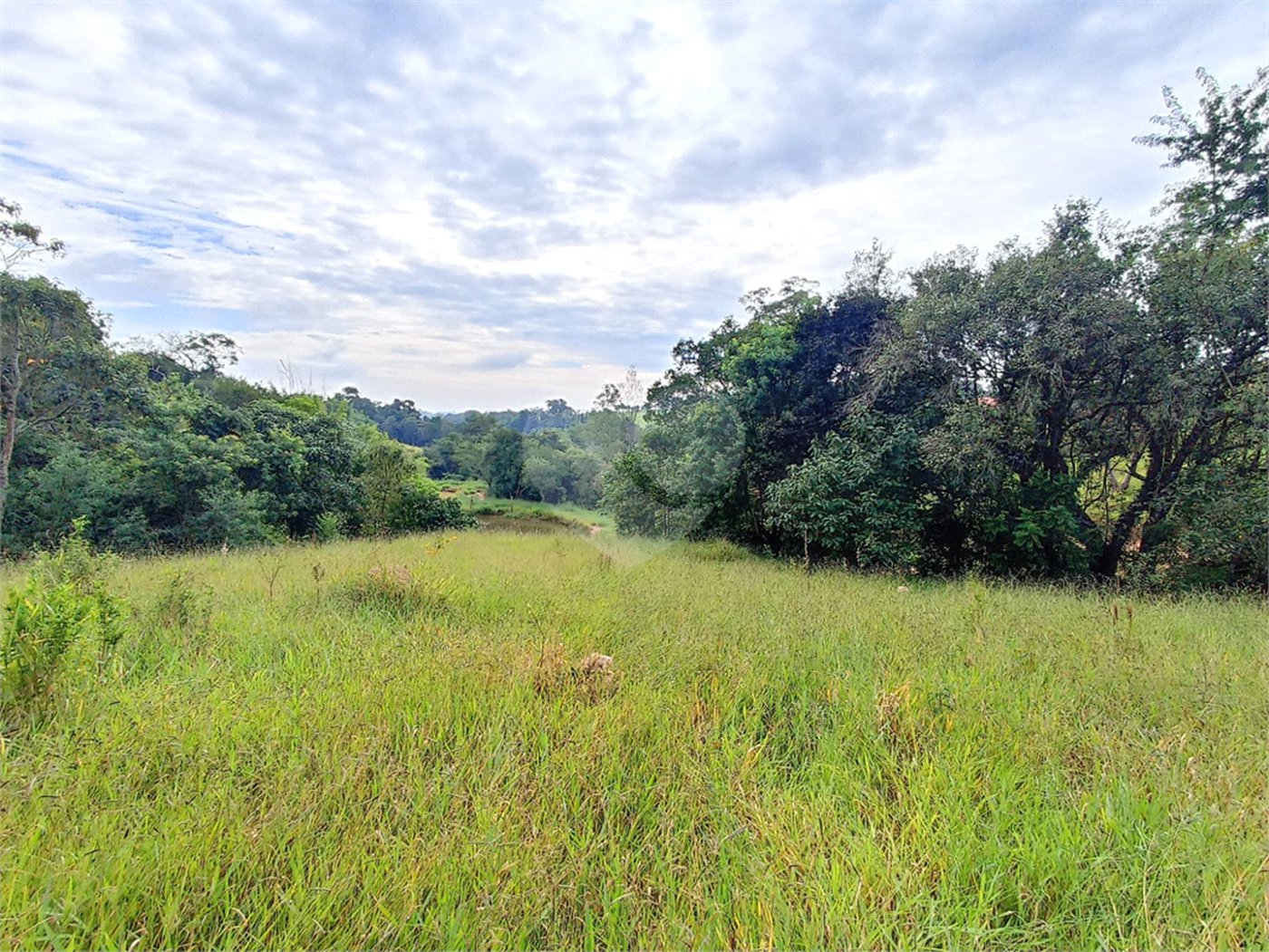 Terreno à venda em Residencial Reserva da Mata, Itapetininga, SP