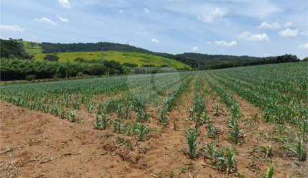 Área de Terra à venda em Paraíso das Aves, Itatiba, SP