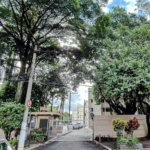 Apartamento à venda com 2 quartos em Lapa de Baixo, São Paulo, SP