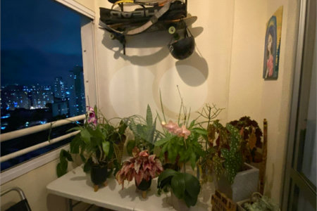 Apartamento à venda com 3 quartos, sendo 1 suíte, em Barra Funda, São Paulo, SP