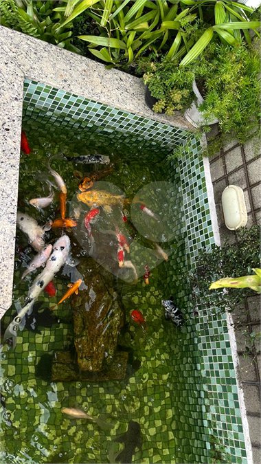 Sobrado à venda com 3 quartos, sendo 1 suíte, em Vila Medeiros, São Paulo, SP
