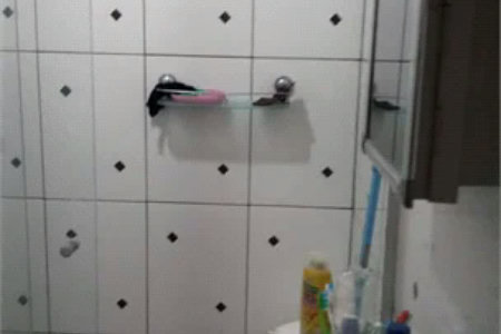 Apartamento à venda com 2 quartos, sendo 1 suíte, em Jardim Jaqueline, São Paulo, SP