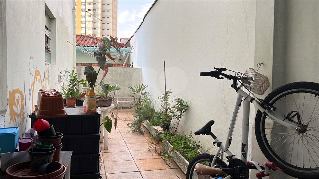 Apartamento à venda com 3 quartos em Santana, São Paulo, SP