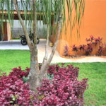 Casa à venda com 8 quartos, sendo 4 suítes, em Roseira, Mairiporã, SP