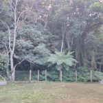 Casa à venda com 3 quartos, sendo 1 suíte, em Roseira, Mairiporã, SP