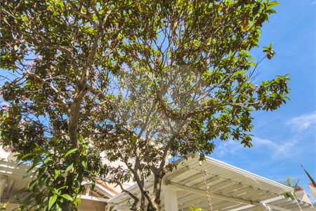 Casa à venda com 3 quartos, sendo 1 suíte, no condomínio Casa Bella Bosque Residencial, Indaiatuba - SP