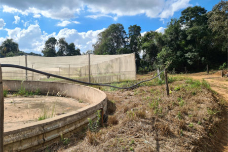 VENDA SÍTIO 48 hectares com estruura para granja, hidroponia e gado