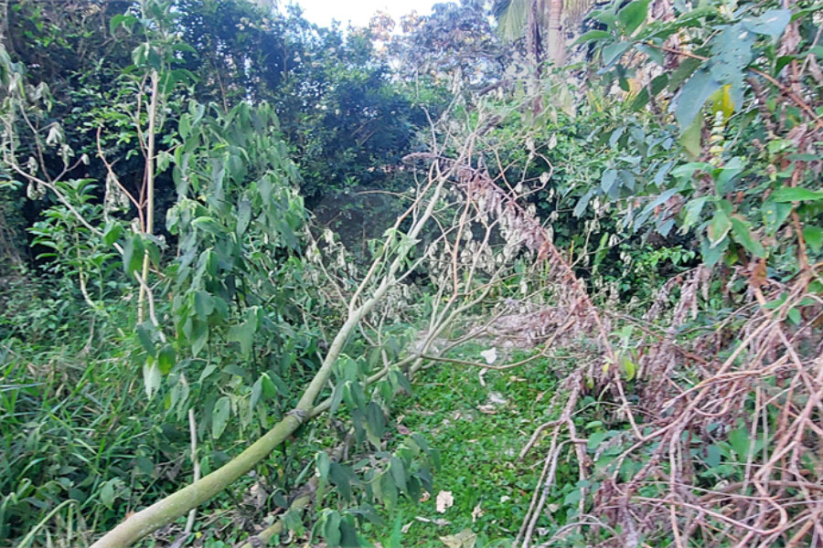 Terreno à venda no condomínio Sausalito, Mairiporã - SP