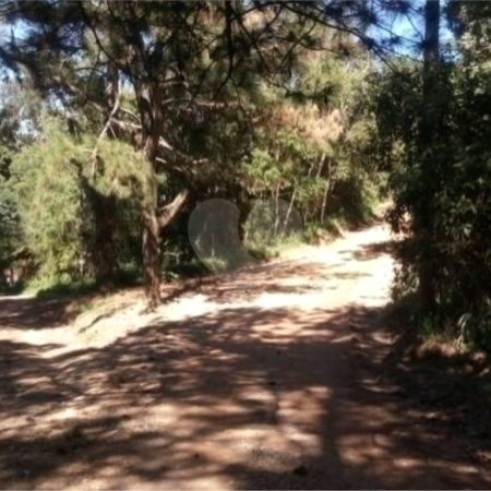 Terreno à venda em Estância Angelina, Suzano, SP
