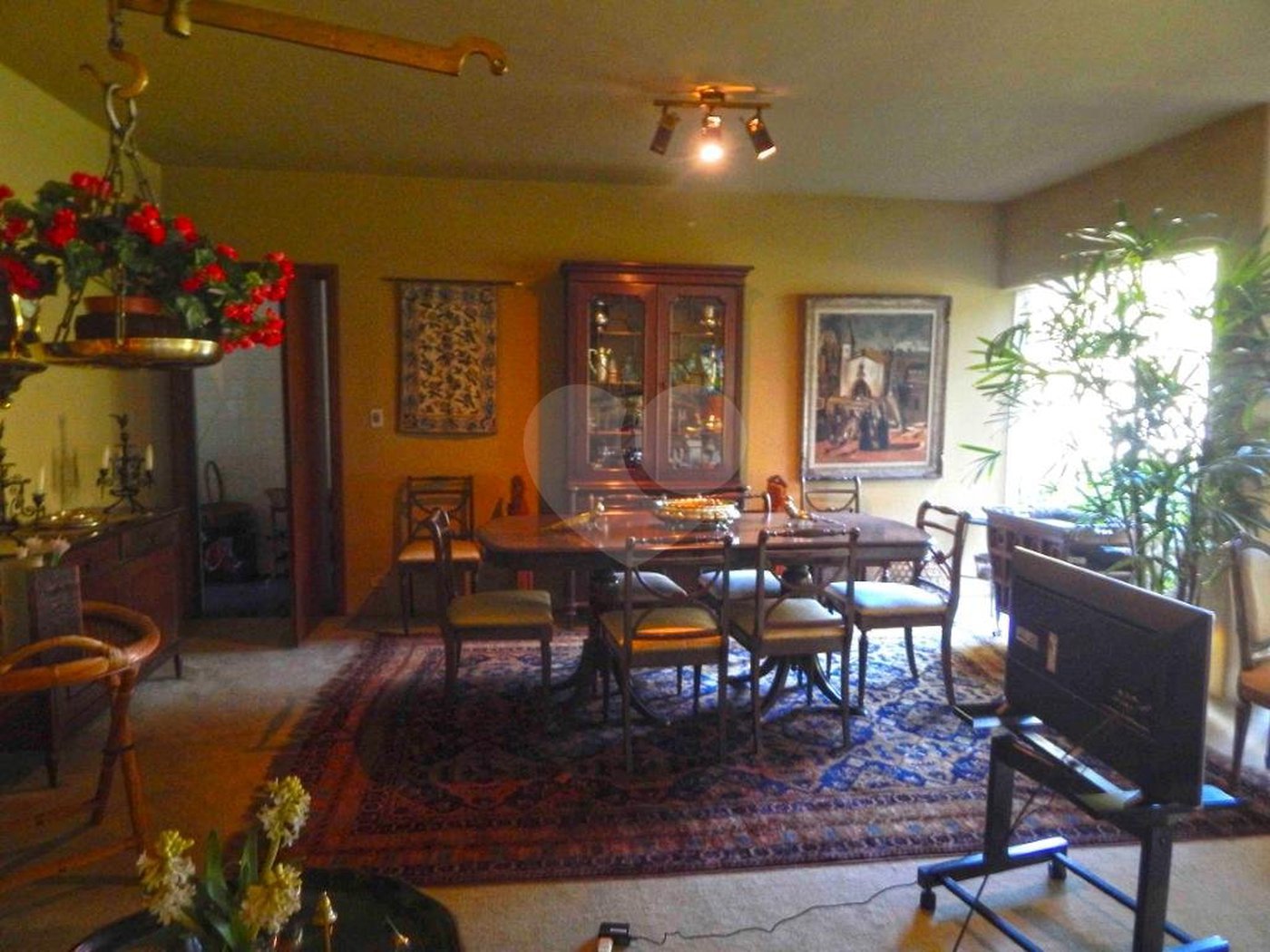 Casa Térrea à venda com 3 quartos, sendo 1 suíte,  em Chácara Monte Alegre, São Paulo, SP
